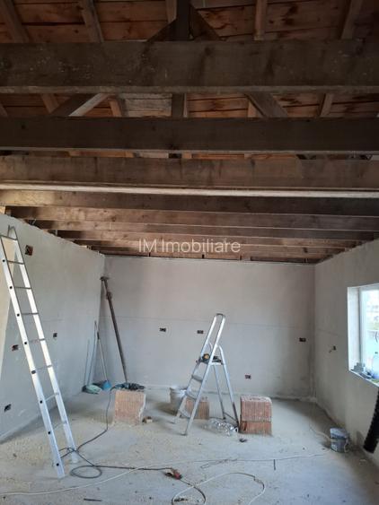 Sanandrei - Casa  INDIVIDUALA -Teren  - 11