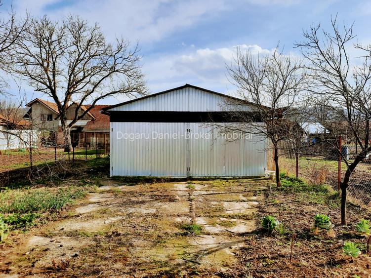 Ilia, proprietate deosebita - 11