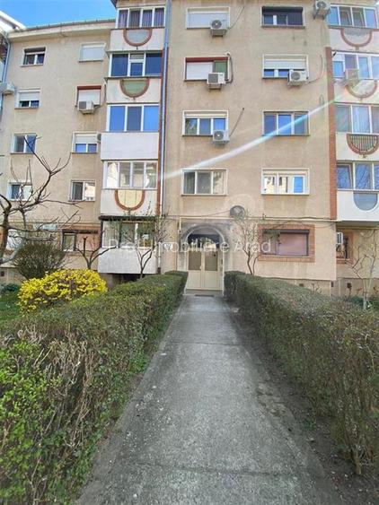 Apartament de inchiriat 2 camere  Podgoria-Malul Muresului - 19