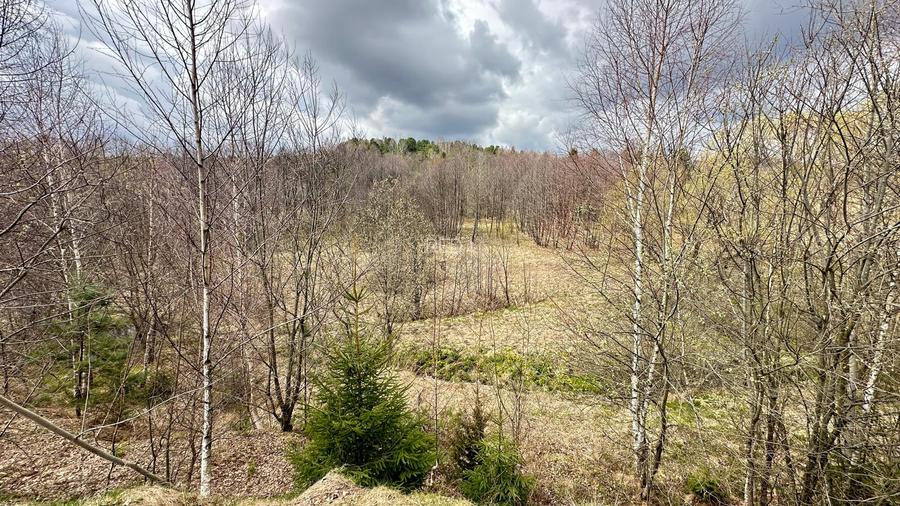 De vanzare teren in Brebu Nou  2877 mp - 6