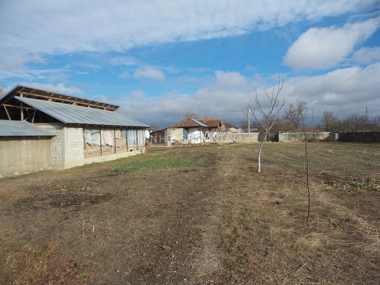 Teren Central Vulturu - 3