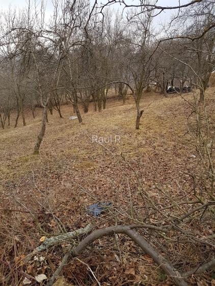 1700p Olanesti str Glodeanu , intrarea Ganesti - 5