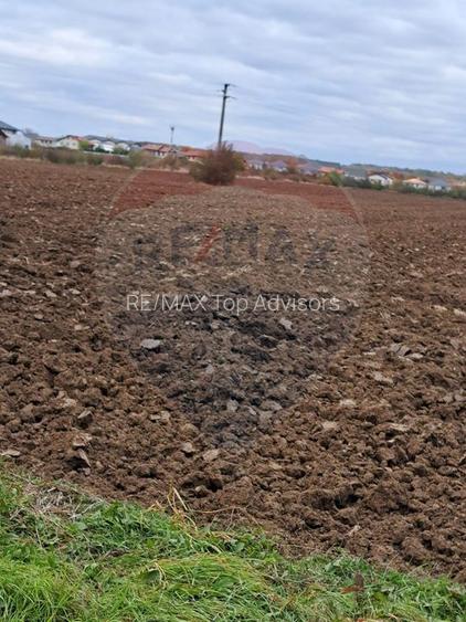 Vanzare teren intravilan construibil Corbeanca, Ostratu, Strada Scolii - 3
