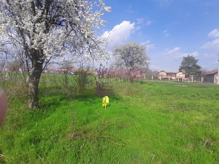 DE VANZARE TEREN 3400 MP IN SAT PODU ILFOVAT / COM BUTURUGENI (GR) - 27