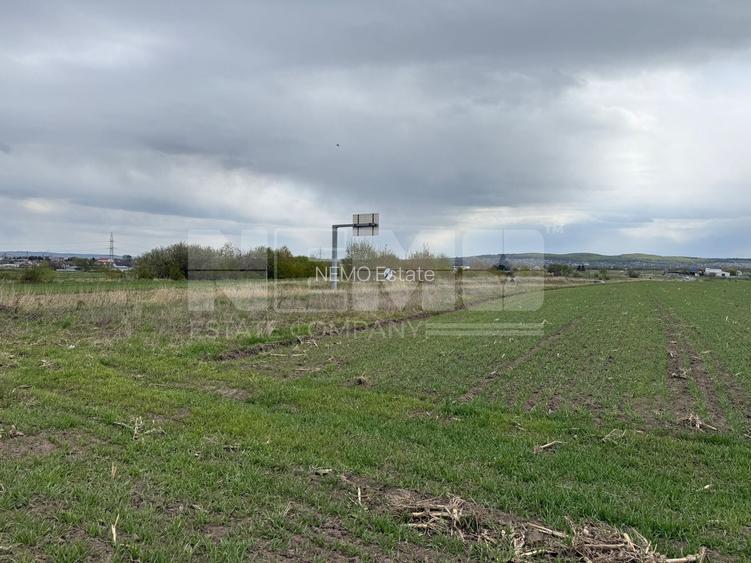 Teren extravilan | Horodnic de Sus – zona Osoi | 50 de Ari - 4