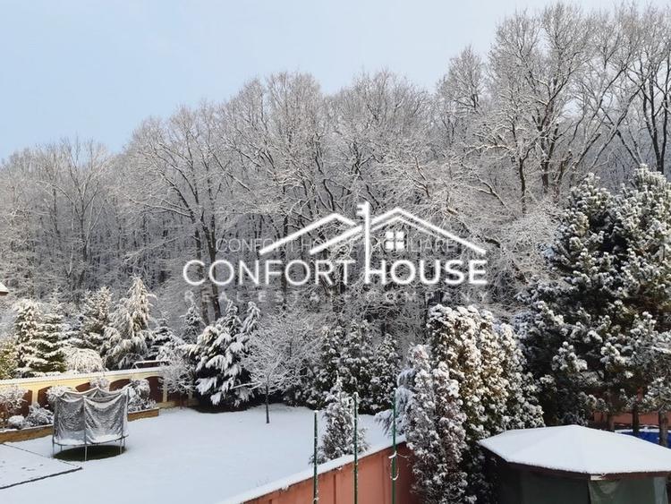 VILA D+P+E+M, 12 camere, piscina , padure, IANCU NICOLAE - 41