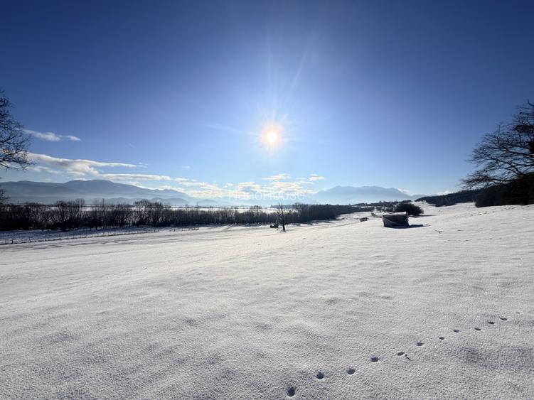 Teren de vanzare pentru investitie - 4