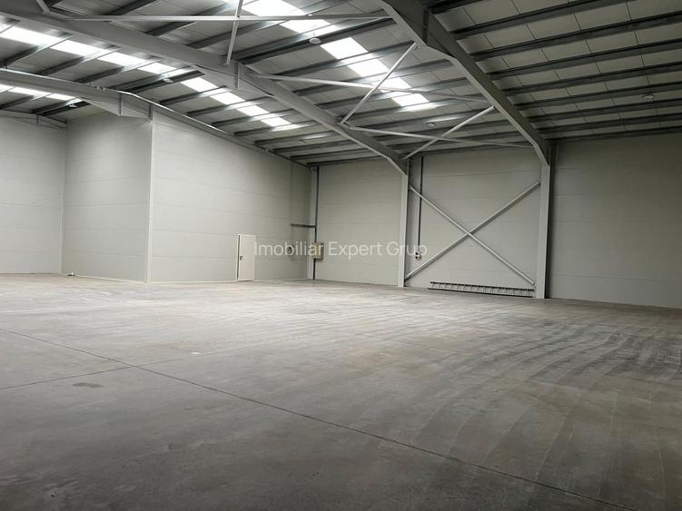 Hala depozitare si productie 595 mp , Chitila - Rudeni - 8