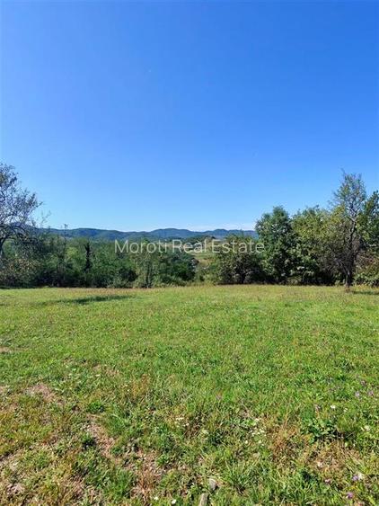 Teren intravilan 8757 mp cu acces direct la E79 - 9