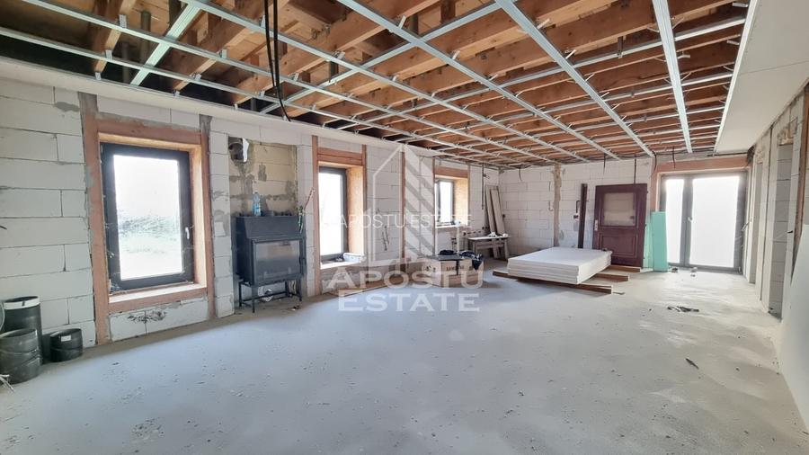 Casa individuala la rosu cu teren generos, Seceani - 2