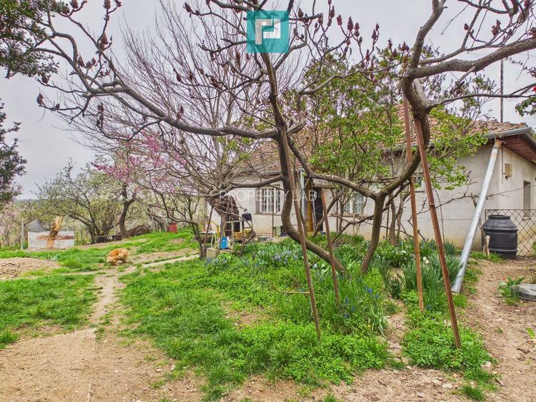 Ieftin - Casă cu teren 842mp, zona Dealuri, Oradea - 4