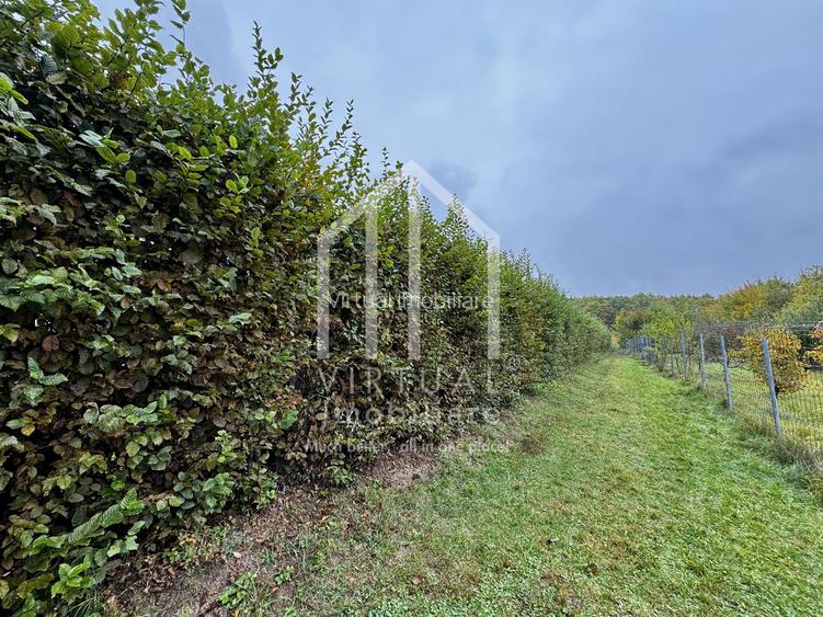 Teren intravila, 2158mp, destinatie casa de vacanta, Rasinari - 9