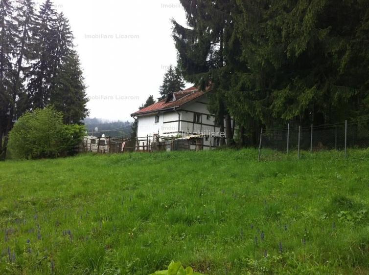 Teren intravilan Cotul Donului,pretabil Hotel/pensiune. - 10