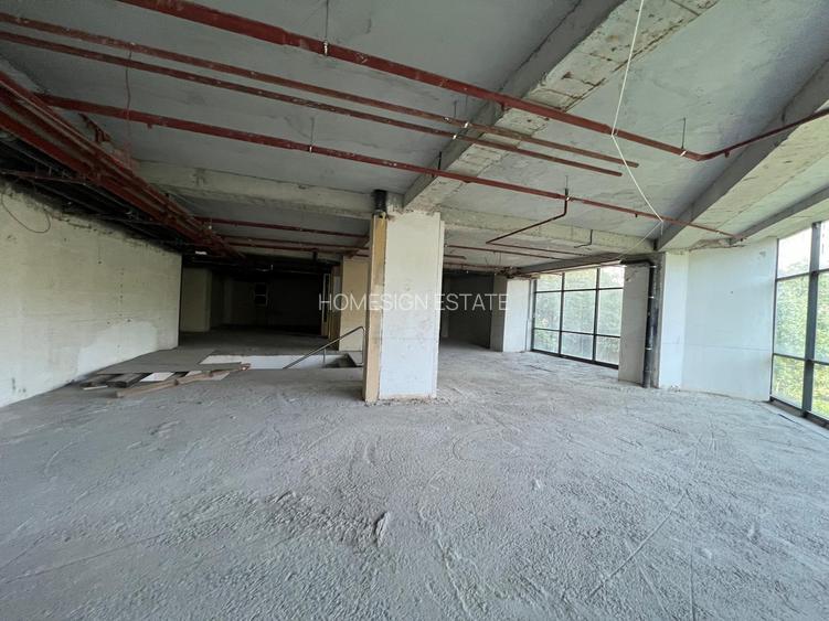 Spatii Birouri de Inchiriat Vad Stradal | Mezanin 320mp | Parc IOR - 11