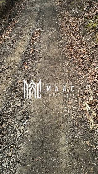 Un colt de rai in Apuseni I viața ca pe vremuri - 3