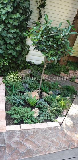 Vila desebita-POPA NAN- O oaza de liniste si verdeata in centrul orasului. - 15