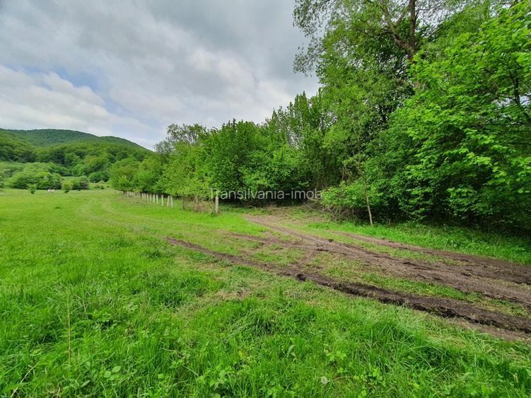 Teren Rasnov – Predeal zona de pensiuni - 5