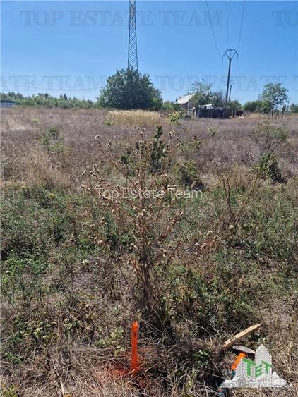 Teren 1512mp in zona rezidentiala din Ciorogarla - 12