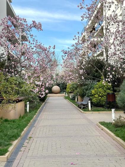 Apartament 4 camere langa padure si Zoo, 112 mp, Iancu Nicolae, Privighetorilor - 2