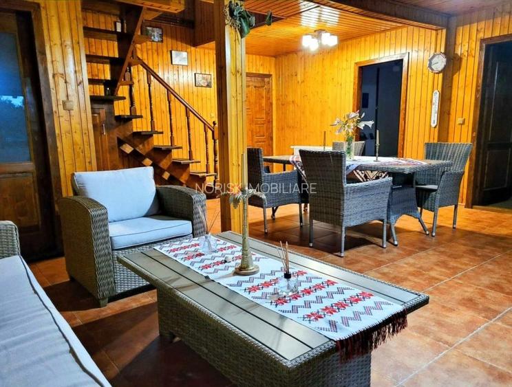 Vila + Afacere 15.000mp Clinceni - 10