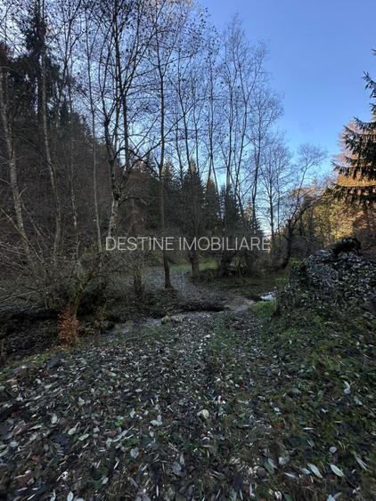 Teren 2.882 mp – oportunitate investitie - Cheile Dambovicioarei - 14