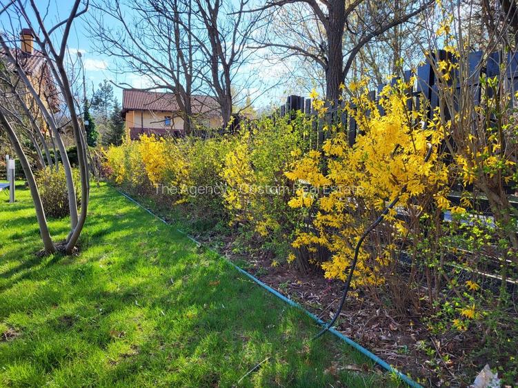 Casa cu piscina -5 camere - Corbeanca, Paradisul Verde - 10