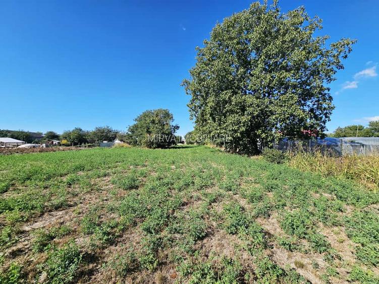 Teren intravilan 1.585 mp, cu utilități la hotar –Gherghița–Ungureni - 4