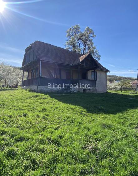 Teren cu casa demolabila Valea Chintaului 2000 mp extravilan  - 2