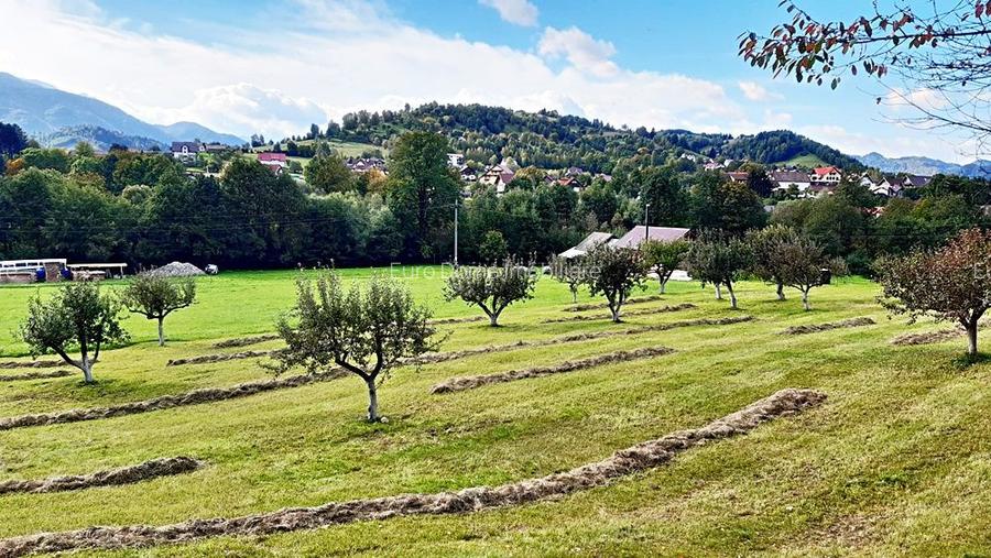 Teren superb de 16240mp, parcelabil, in Bran la intrare in Moeciu de Jos - 13