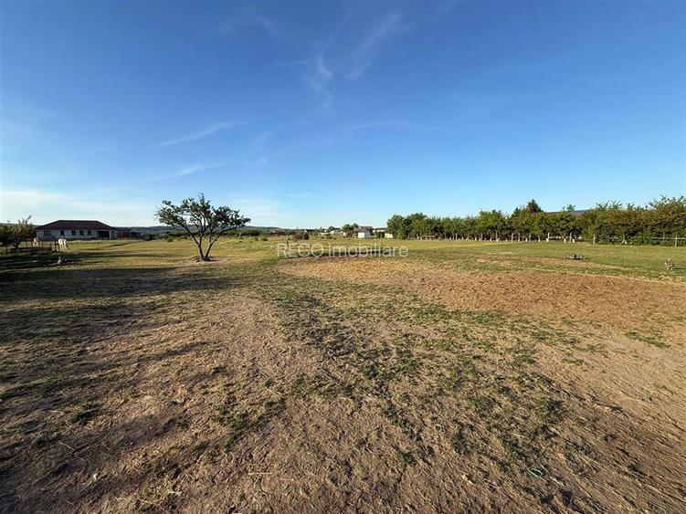 RECO Teren intravilan de investitie 760 mp in Fughiu Osorhei aproape de Mini Par - 4
