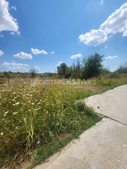 Teren 579 mp | Soseaua Cernica | Pantelimon - 4