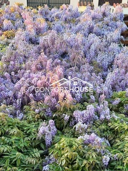 Vila P+E+M, 8 camere, teren 830mp, PIPERA – Scoala Americana - 3