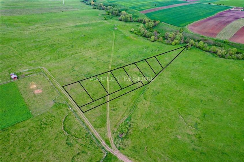 FILM! Loturi teren extravilan, recomandate case de vacanta/recreere, Sfantu Gheo - 6