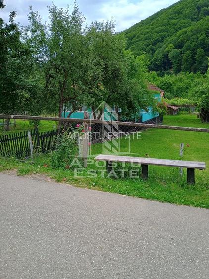 Casa batraneasca de vanzare, 4 camere, in Hunedoara, sat Micanesti - 23