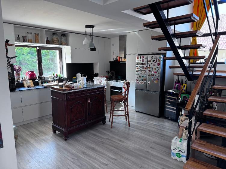 Casa Cartier Dealul cu Tei - 6