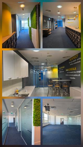 Spatii birouri de inchiriat zona 13 Septembrie - Tudor Vladimirescu, Bucuresti - 3
