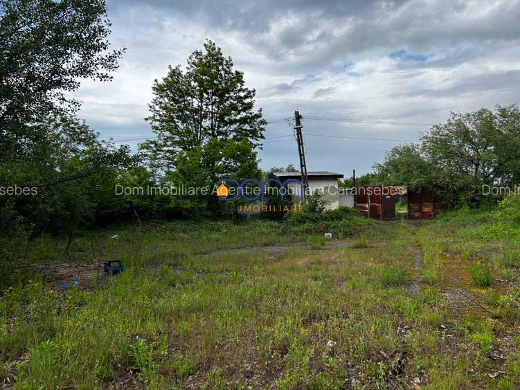 Teren industrial sau comercial 3000 mp Zagujeni - 8