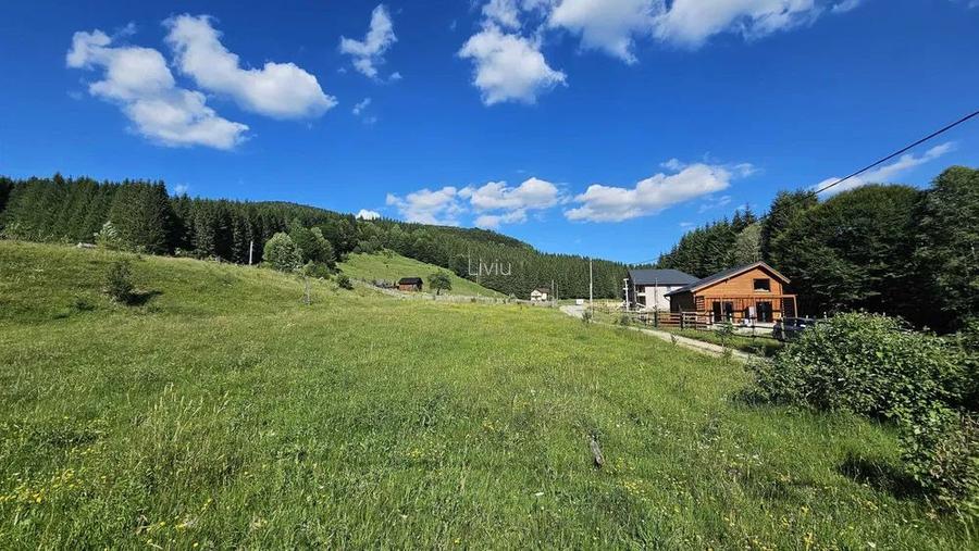 Teren intravilan Traisteni, Valea Doftanei – 2.290 mp, deschidere mare, padure - 2