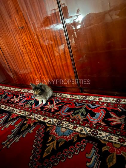 Babu's Vintage Apartment | Intrarea Gheorghe Costea Strada Inchisa - MT530 - 9