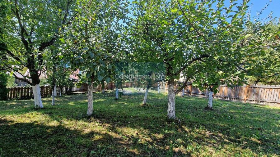 Vila spațioasă 5 dormitoare, Provita de Jos - 5