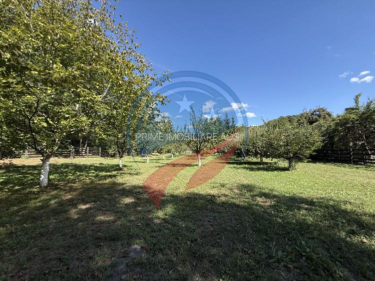 CASĂ DE VÂNZARE – MĂLURENI, JUDEȚUL ARGEȘ | 154 MP | TEREN 2.100 MP - 38