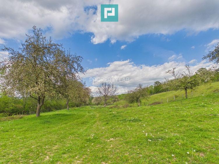 Casă cu teren de 17.681 mp, în loc. Hălmăgel, Arad - 13