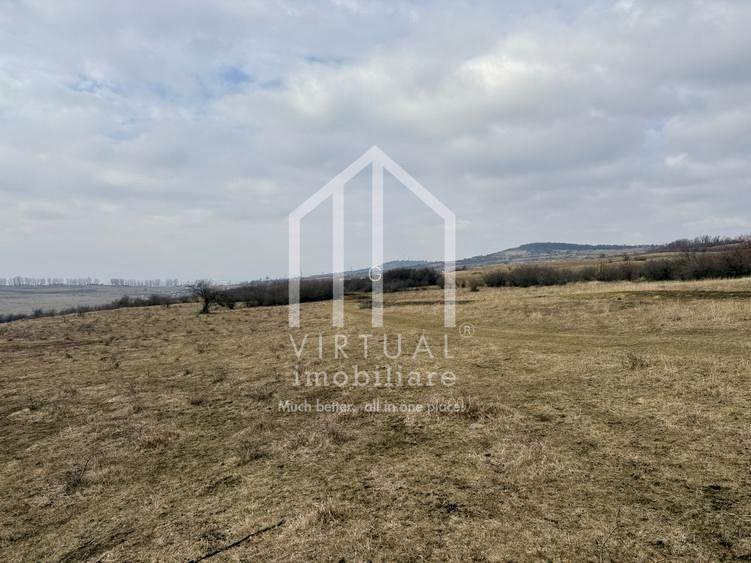 Teren de vanzare in Sibiu 67.500 mp, extravilan, Dealul Daii