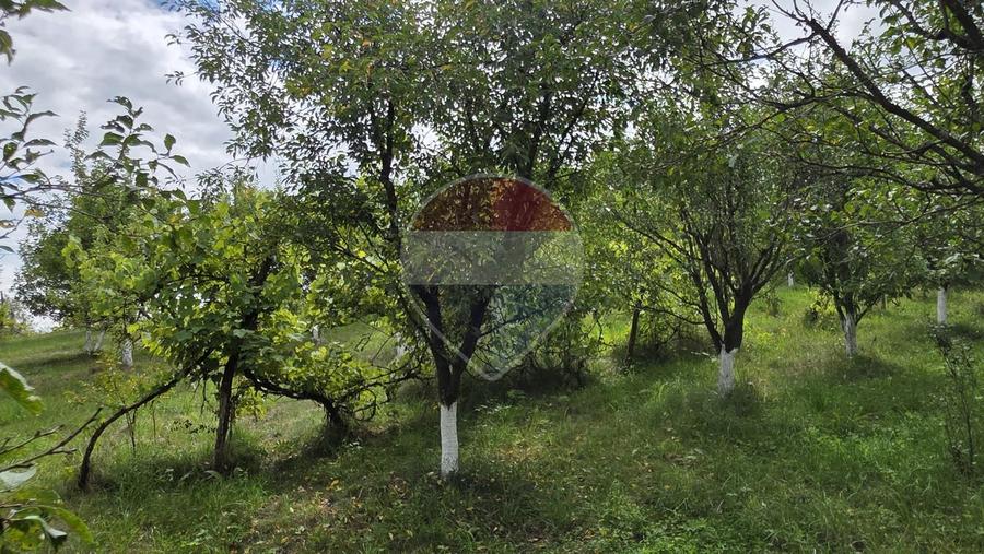 Casă cu teren generos de 2.800 mp la 38 km în satul Elciu