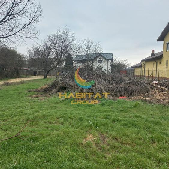 Teren 600 mp Domnesti Dumbraveni 20 M Deschidere Ideal Case-Vile