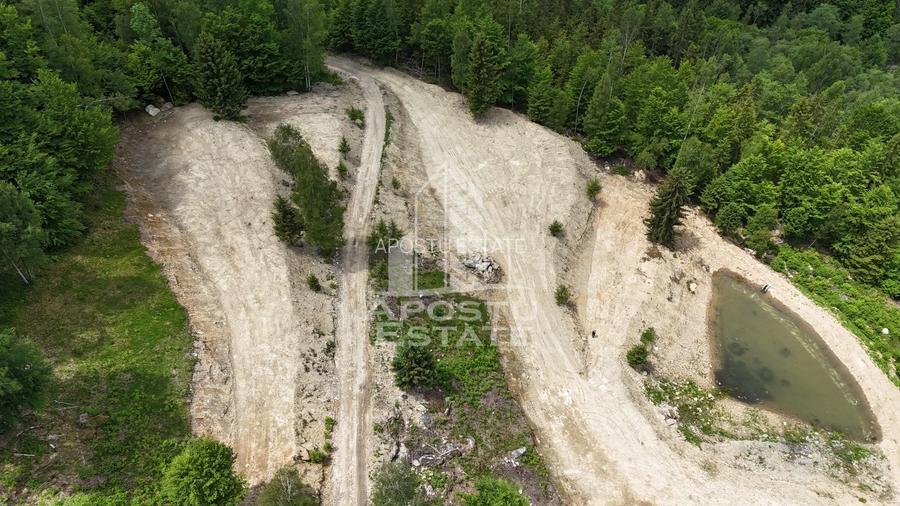 Oportunitate! Domeniu montan, cu lac propriu, oras Lupeni, Hunedoara - 47