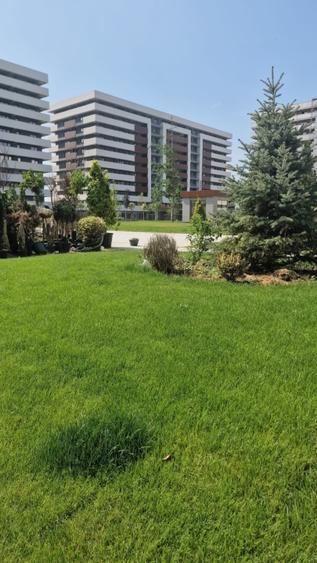 Apartament 1 camera Etaj 1 Comision 0%