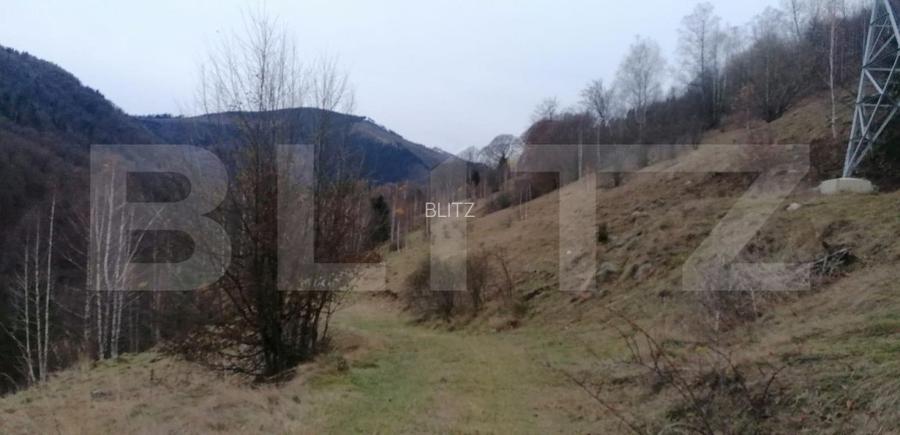 Teren 14 ha compact langa Lacul Tau Bistra - 6