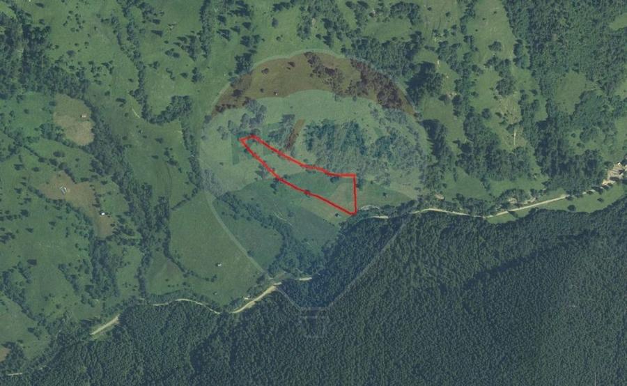 Teren 12,127mp Frasin / Drumul Forestier Valea Seacă