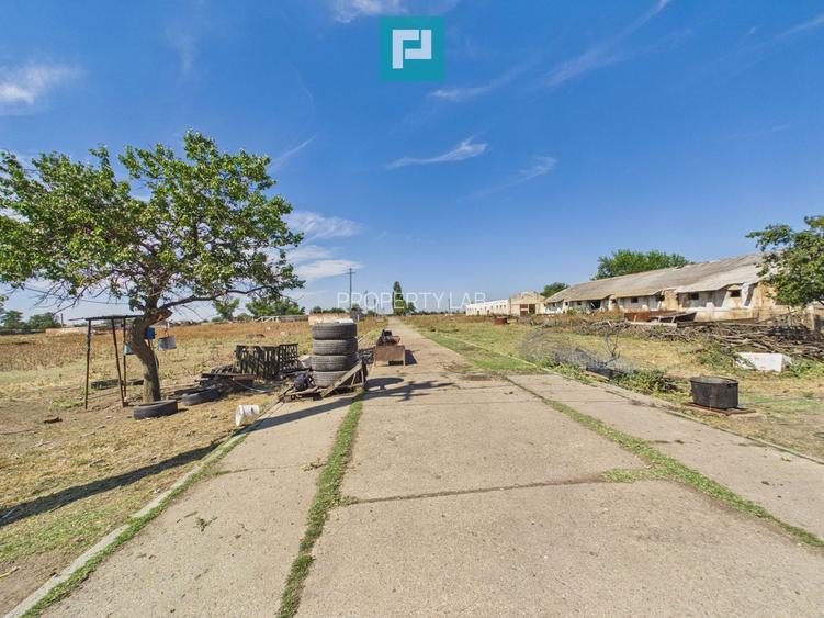 Teren intravilan 146.866 mp | Jimbolia - 8